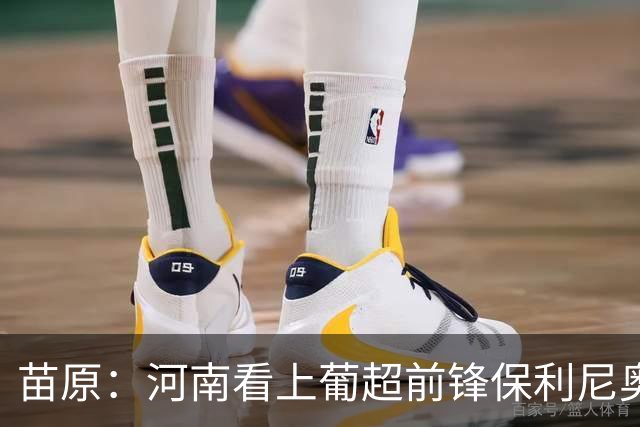 苗原：河南看上葡超前锋保利尼奥·博亚，姆布拉的位置